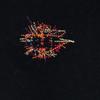 RAF BY RAF SIMONS Short sleeve Polo shirt S black Kanoko fabric Men's Used