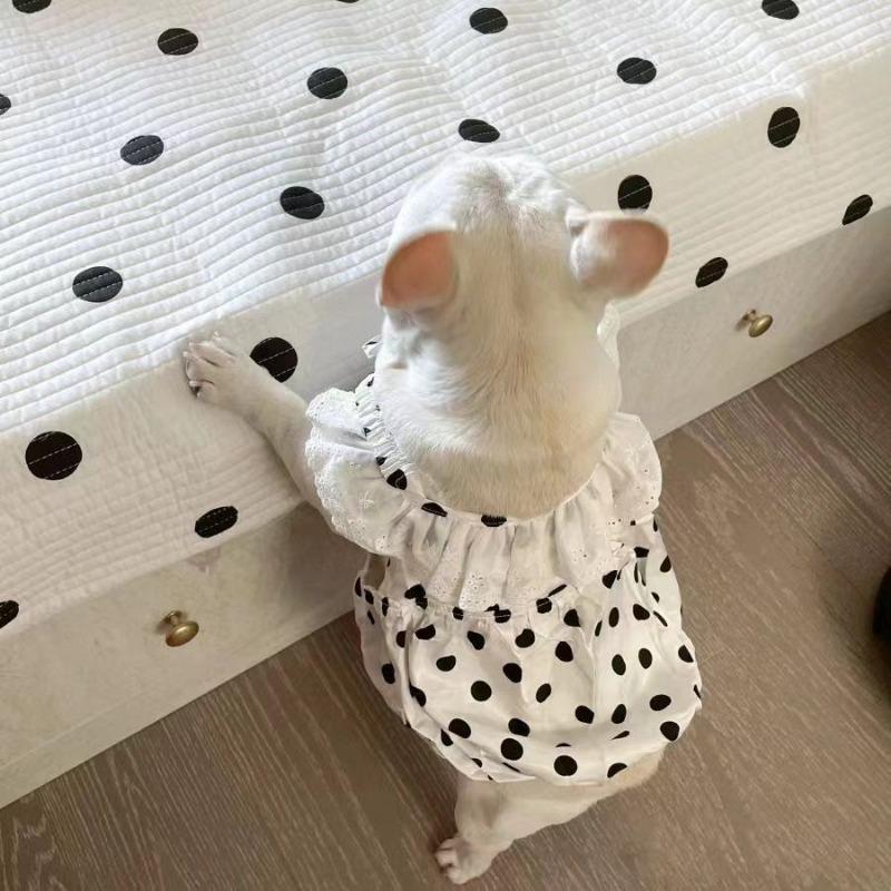 French Dou Skirt Bug Short Fat Dog Spring and Autumn Cool and Cute Cartoon Small Polka Dot Vest Gauze Skirt Comfortable Special