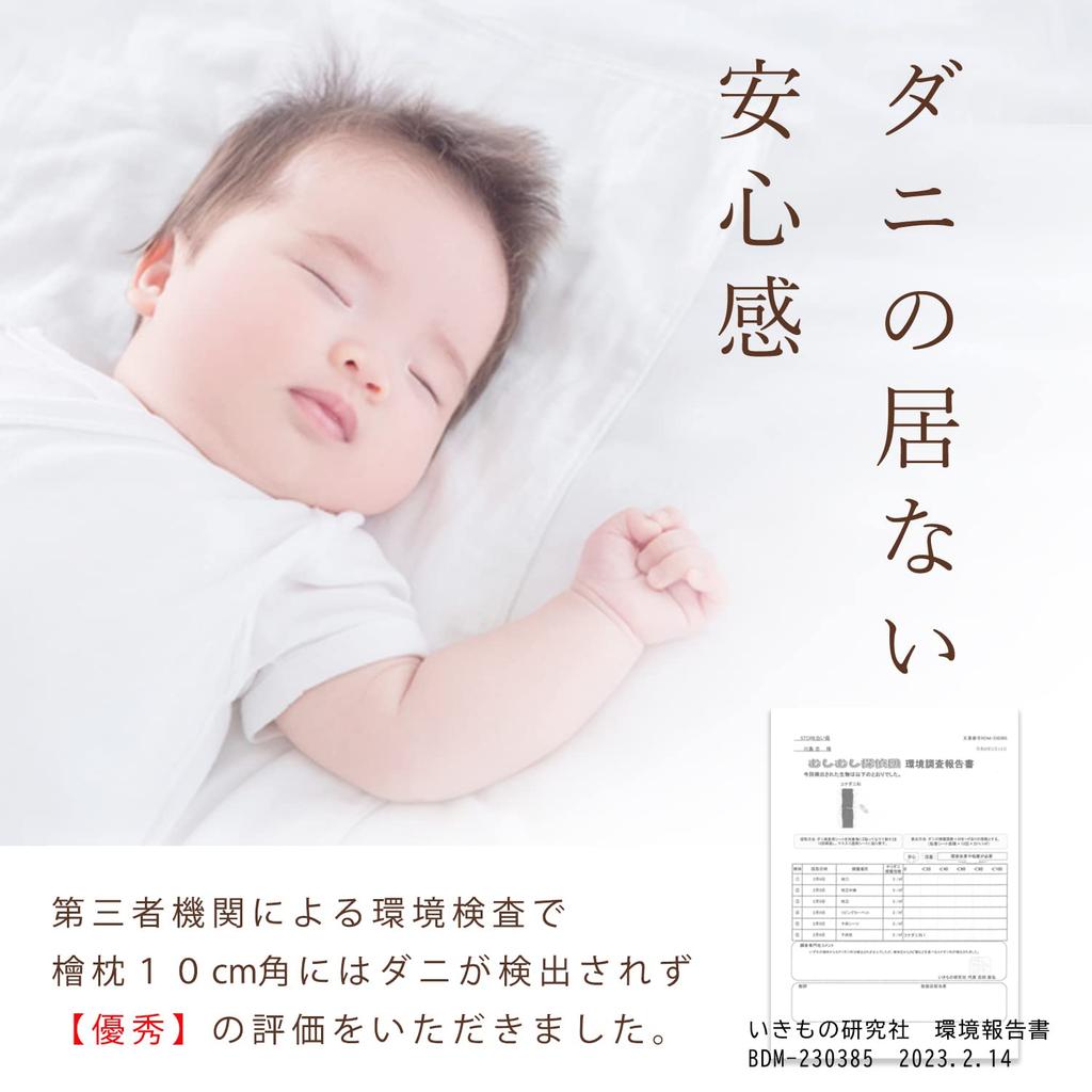 Reliqua Odore Tosa Hinoki Pillow from Hinoki Specialty Ministry of the Environment Approved Scent Research Carefully Selected Hinoki Hinoki Sleeping