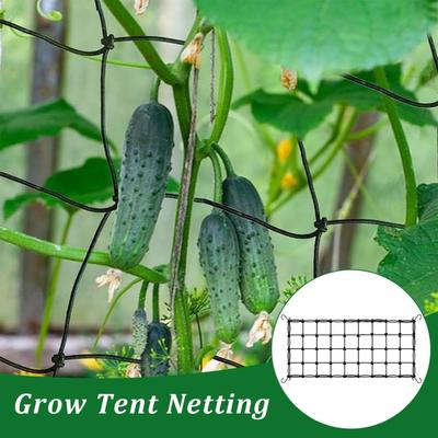 Pflanzenstütze Scrog-Netz Elastisches Rankgitter für Gewächshäuser Zelt Gitterdesign Pflanzenstütznetz Verstellbare Stütze Pflanzen für Garten