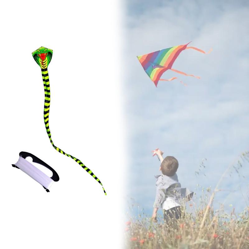 Snake Polyester Lightweight Triangle Kite Glass Fiber Structure Travel Festival