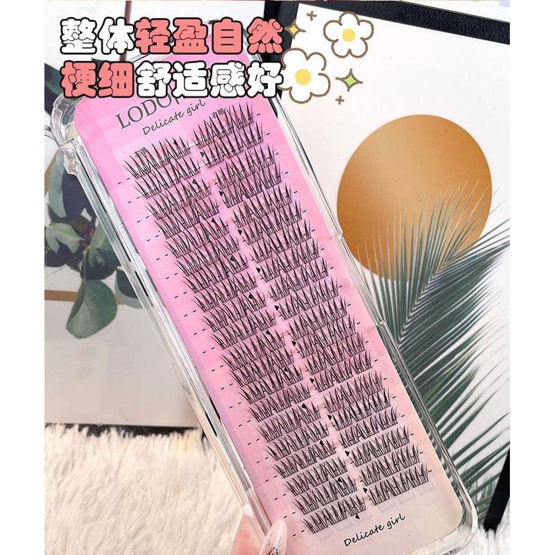 Nreain - Natural Multipack False Eyelashes Cluster