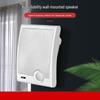 Diyou 570 Indoor Wall-Mounted Speaker