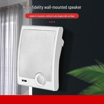 Diyou 570 Indoor Wall-Mounted Speaker CN Plug (adapter Included)