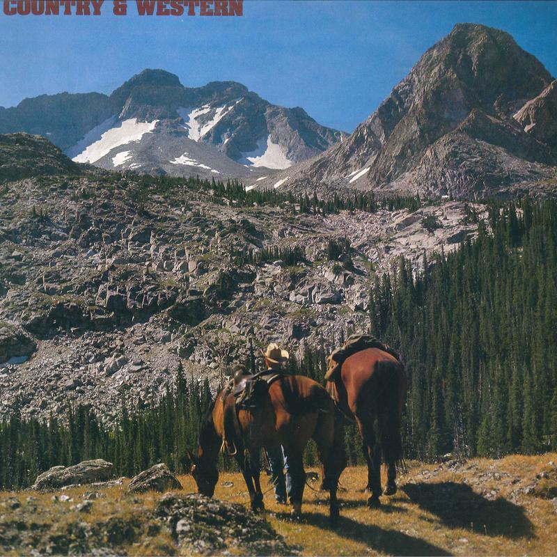 

LP Record VARIOUS - Country & Western MCF830910 MCA 1979 Japan Country Used