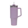 Portable Stainless Steel Insulated Tumbler with Handle and Straw