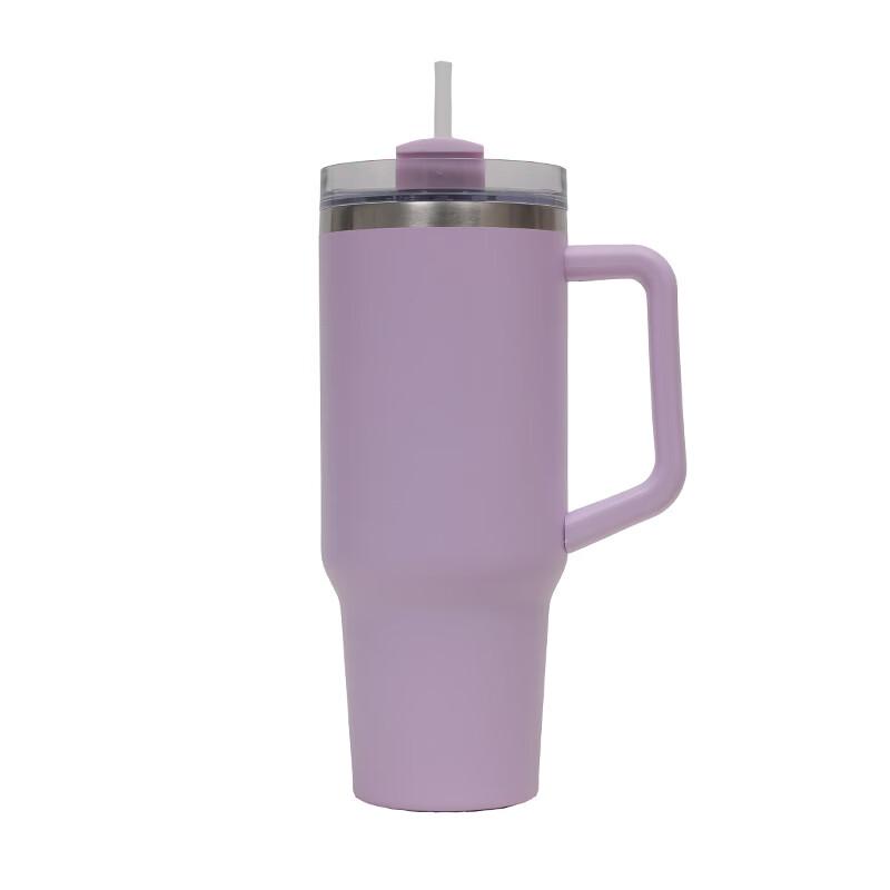 Portable Stainless Steel Insulated Tumbler with Handle and Straw