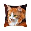 Cushion Cover Cute Cat Pattern Square Pillowcase Zipper Birthday Gift Sofa Home Hotel Decoration 45*45Cm