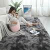 Large Size  Art Carpet Floor Gradient Color Fluffy Area Rug Living Room Carpet Hallway Mat