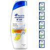Head & Shoulders Anti-Dandruff Oil Control Shampoo