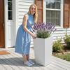 Tall Planters Set of 2, 750 mm Large Outdoor Taper Planters for Outdoor Indoor Plants, Front Porch Plastic Modern Flower Pots with Casters, Inner Pot