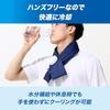 ZAMST Ice Pack for Neck, Cooling, Heat Relief, Golf, Tennis, Daily Life, One Size Fits All, 387000