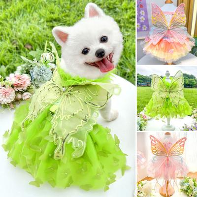 Hunde Prinzessinnenkleid Dünnes Katzen Regenbogen Schmetterlingsrock Sommer Mädchen Welpe Spitze Tutu Kleid für Kleine Mittlere Hunde Katzen
