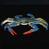 1Pc  Children's Fun Educational Marine Biology Simulation Model, Solid Crab, Blue-footed Crab Animal Toys