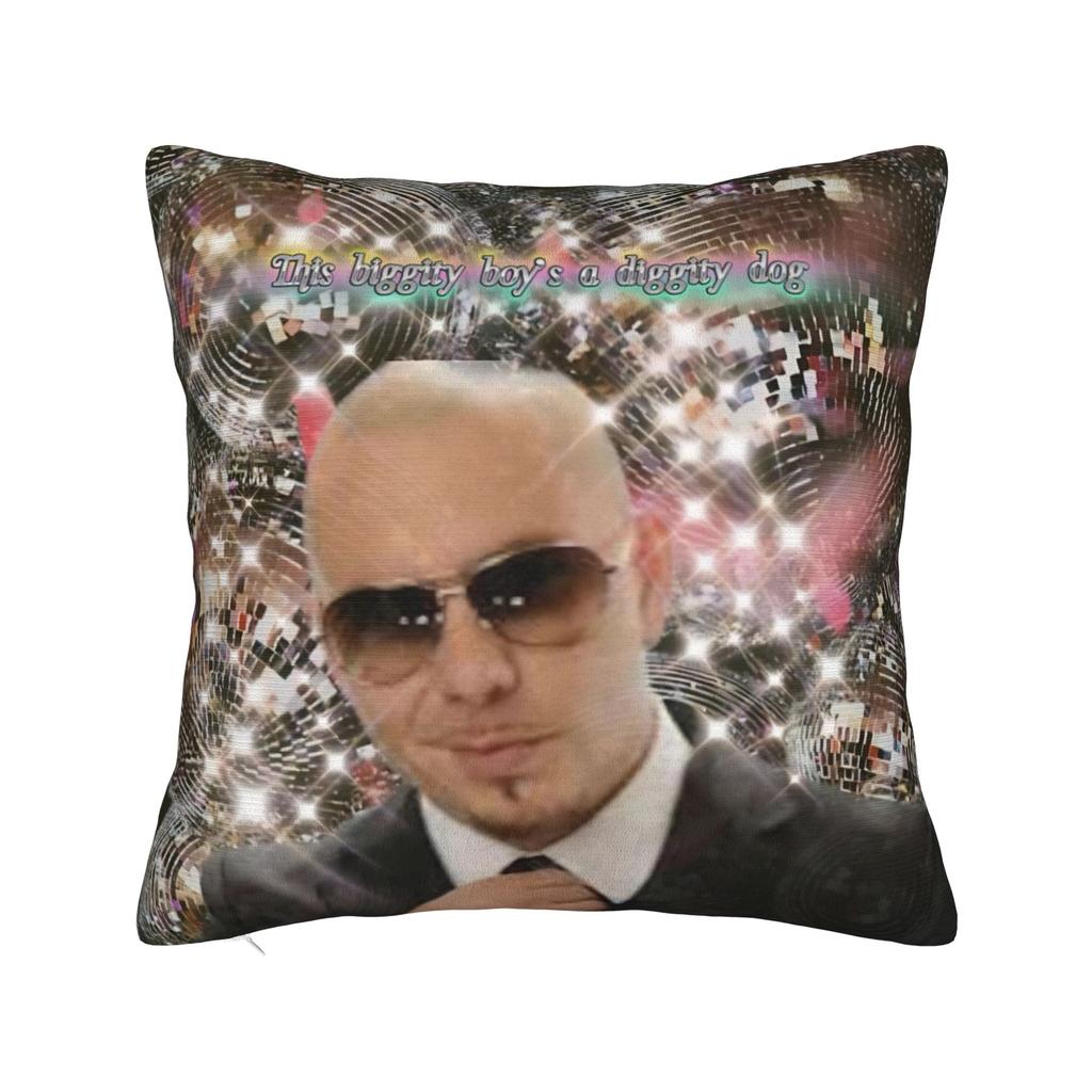 Decorative Pillowcase Singer Pitbull Tour Stuff Bed Throw Pillow Case Cover Square Style Multiple Sizes