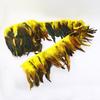 FeatherYellow Feathers for Crafts, 31 Styles Natural Pheasant, Rooster, Duck Feathers Bulk for Costume DIY, Fly Tying,Party Decoration