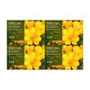 Dubore Freesia Essence Moisture Soap 100g X 4 [WB7B583_250915]