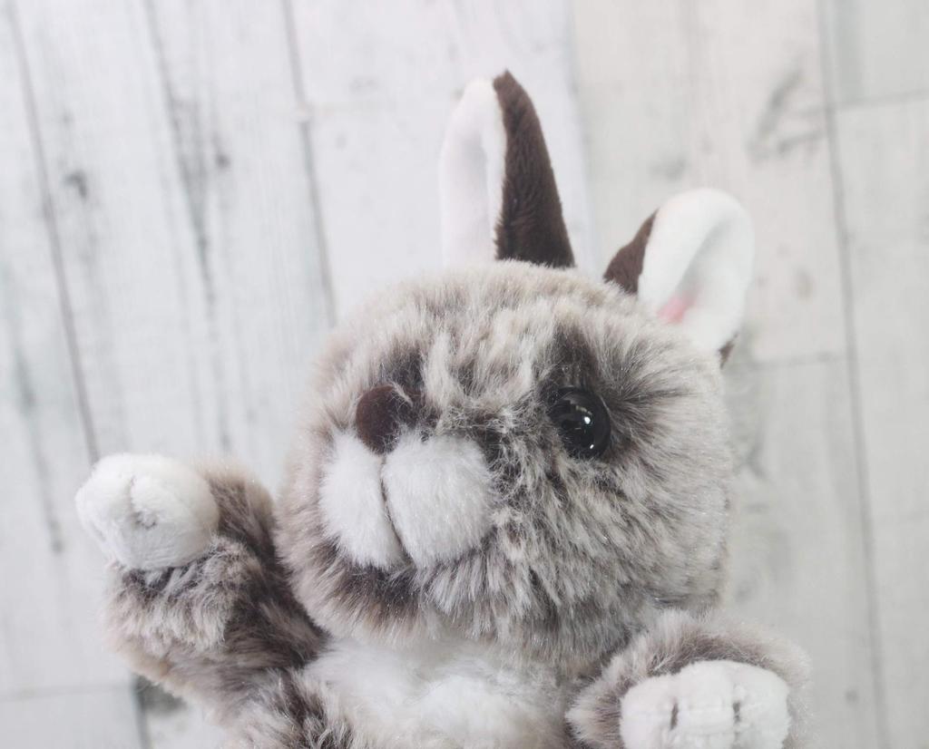 Take Off Rabbit Mimi Brown