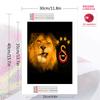 Galatasaray FC Pattern  3pcs 100% Round Full Drill 5D DIY Diamond Painting Embroidery Cross Stitch Rhinestone Décor