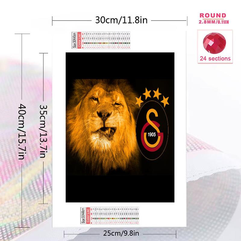 Galatasaray FC Pattern 3pcs 100% Round Full Drill 5D DIY Diamond Painting Embroidery Cross Stitch Rhinestone Décor
