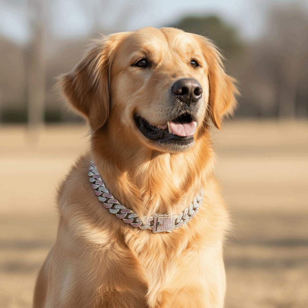 Hip Hop Bling Diamond Dog Necklace Link Chain Link Chain Necklace Dog Diamond Chain Collar