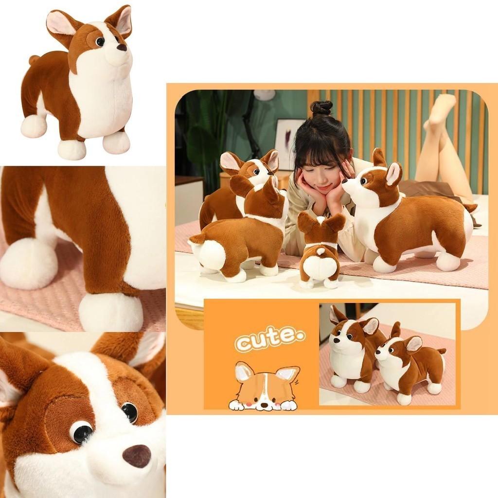 Cute Plush Corgi Dog Toy Soft And Huggable Stuffed Animal For Kids And Pets Brown And White Color 23cm
