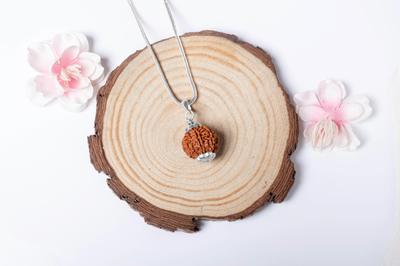 Doğal 7 Mukhi Rudraksha 925 Gümüş Kolye - Nepal Kökenli | İyi Şans ve Ruhsal Gelişim için Doğal Boncuk | Organik & Laboratuvar Sertifikalı