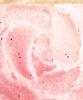 My Birthday Body Scrub 600g
