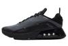 Air Max 2090 Low Black Wolf Grey  CJ4066-001