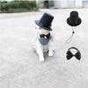 Pet Top Hat With Bow Tie For Dog Cat Birthday Party Gradation Halloween Costumes Accessories 2pcs Formal Accessories Set