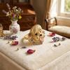 Rhinestone Dog Head Ring Kitten Animal Ring Personality Irregular Opening Ring  for Cat Dog Lovers