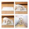 20pcs/50pcs/100pcs Super Absorbent Dog Training Toilet Disposable Cushion Healthy Diaper Pad Premium Grade Male Dog Gentle Texture