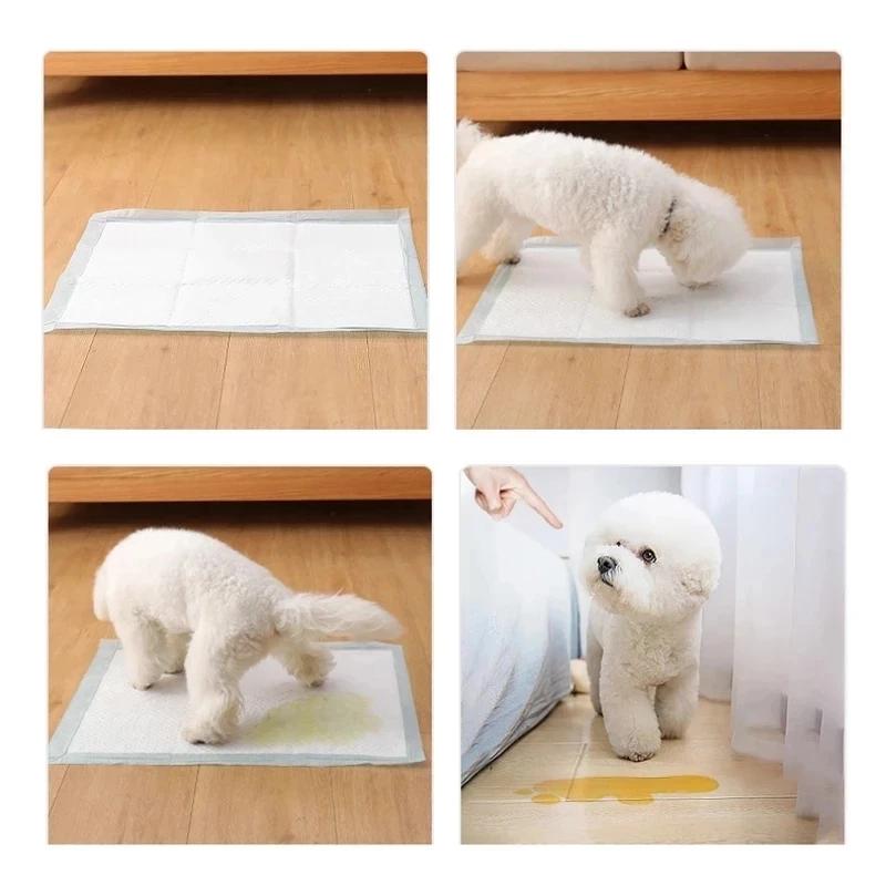 20pcs/50pcs/100pcs Super Absorbent Dog Training Toilet Disposable Cushion Healthy Diaper Pad Premium Grade Male Dog Gentle Texture