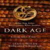 Dark Age by James Wilde Paperback Book 9780857503220