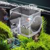 Pneumatic Fish Breeding Box Transparent Fish Isolation Box Suspended Incubator  Clownfish