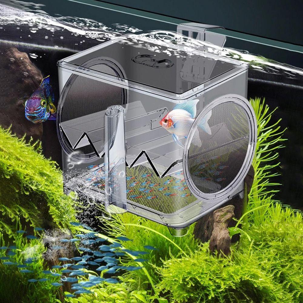 Pneumatic Fish Breeding Box Transparent Fish Isolation Box Suspended Incubator  Clownfish