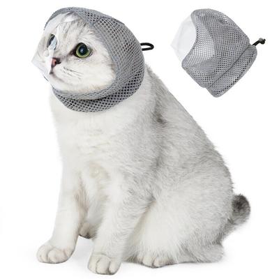 Gatos – Cuidados de gatos