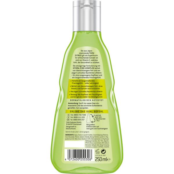 GUHL Oyster Freshness Lightness Anti-Grease Shampoo 250ml