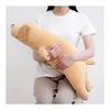Ribuhaato Poduszka do ciała Premium Zwierzątka Nemunemu Golden Retriever Sora Rozmiar L (Całkowita długość około. 74cm) Puszysta, miękka poduszka-pluszak na prezent
