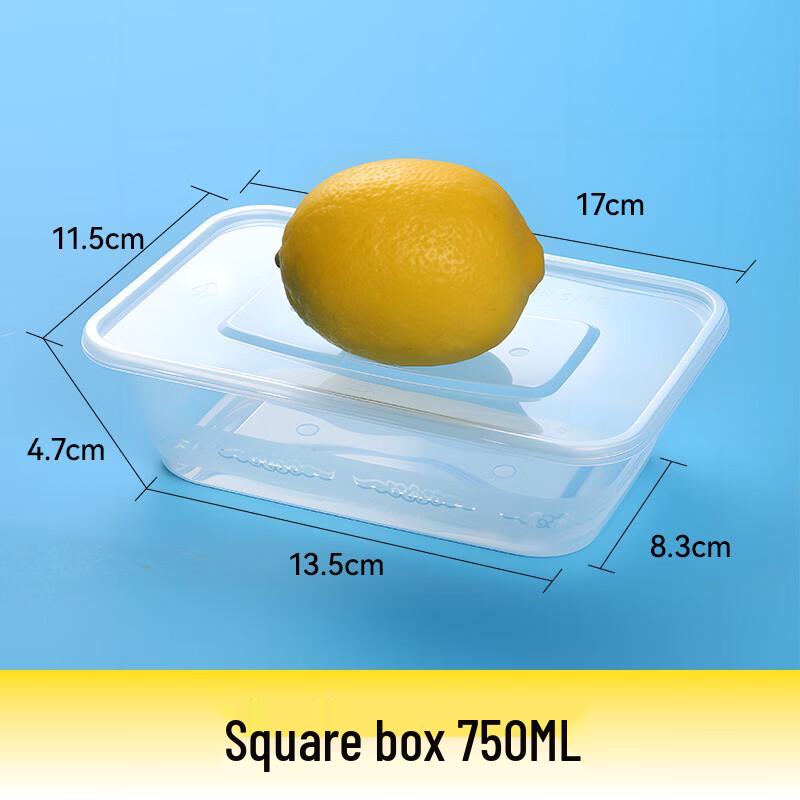 Disposable Food Containers