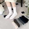 [10 Pairs SET] Women's 4-Season Gore-Tex Socks