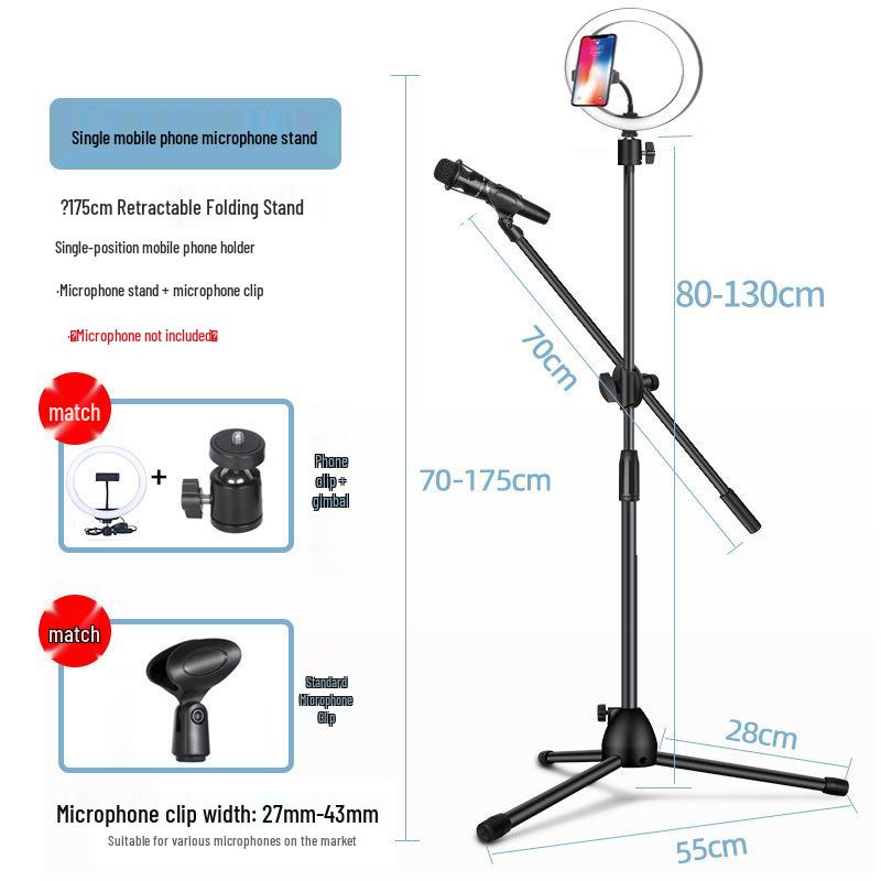 Kids' All-in-One Stage Mic with Folding Tripod for Singing & Streaming