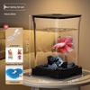 Creative Betta Fish Ecological Desktop Tank with Night Light Decoration.
