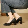 Vintage Mary Jane shoes women's early spring new versatile soft leather square head thick heel high heel single shoes black work shoes