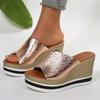 Fashion Women Shoes Silver Chunky Platform Sandals 2025 Summer Wedges Slippers Plus Size 36-43 Woman Outdoor High Heels Sandles Female
