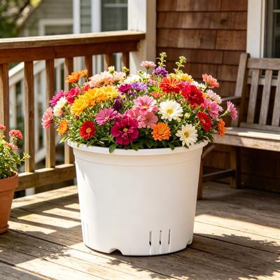 Pothos Planter with Saucer Flowerpot with Drainage Holes Ventilated Plant Pot for Roses Orchids Blueberries Indoor Outdoor Use