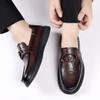 Fashion Spring Autumn Genuine Leather Loafers for Men Fashion Casual New Designer Shoes Male Solid Color Shallow Mouth Luxury Shoes Man
