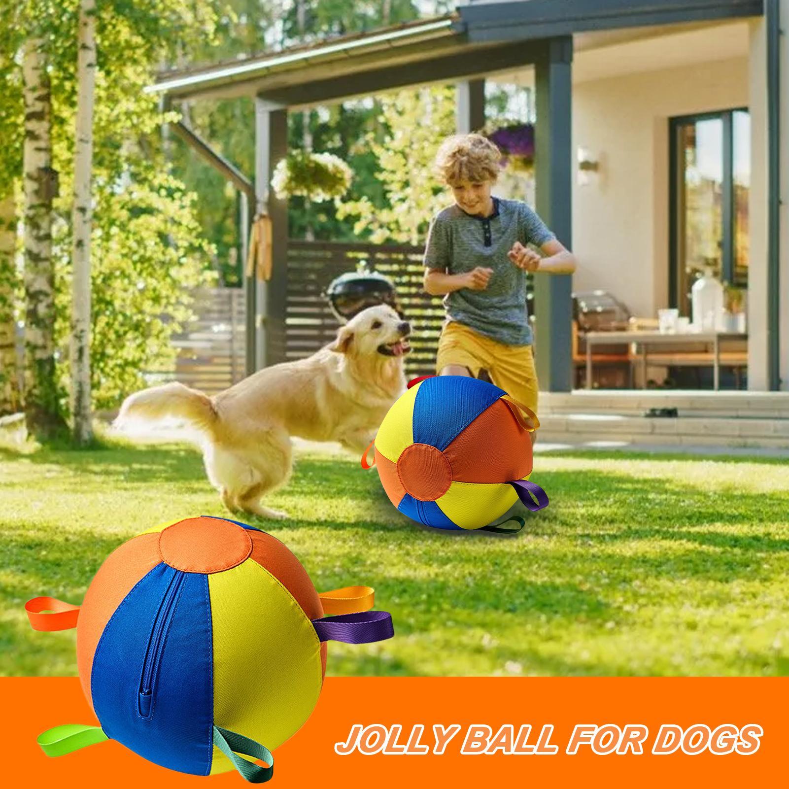 

Ball Toys For Dogs Interactive Dog Puppy Ball Toy Bite-Resistant Safe Chewers Game Exercises For Water Play Outdoor Aggressive S
