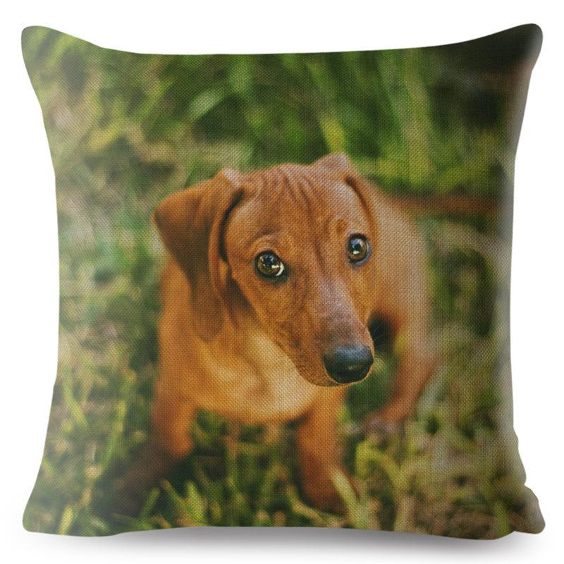 Față de pernă drăguță cu imprimeu câine teckel miniatural, 45*45 pătrată, huse de pernă din in, față de pernă, decor pentru canapea și casă, fețe de pernă