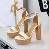 13cm Style Banquet Sexy Buckle with Open-toed Thick Heel High Heel Sandals Women's Super High Heel Waterproof Table Women's Shoes